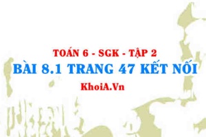 Bài 8.1 trang 47 Toán 6 Tập 2 Kết nối tri thức